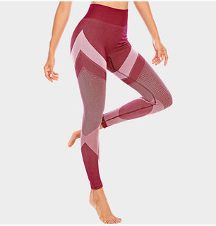 Sports Underwear & Shockproof Bra