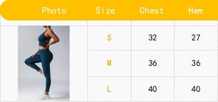 Sports Bra Athletic Sports